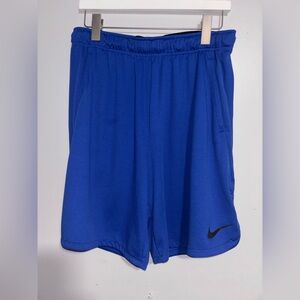 Nike Dri-FIT Men’s Large Athletic Running Training Shorts Black Blue Lightweight